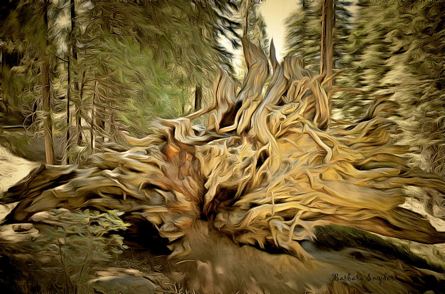 Barbara Snyder Fallen Tree